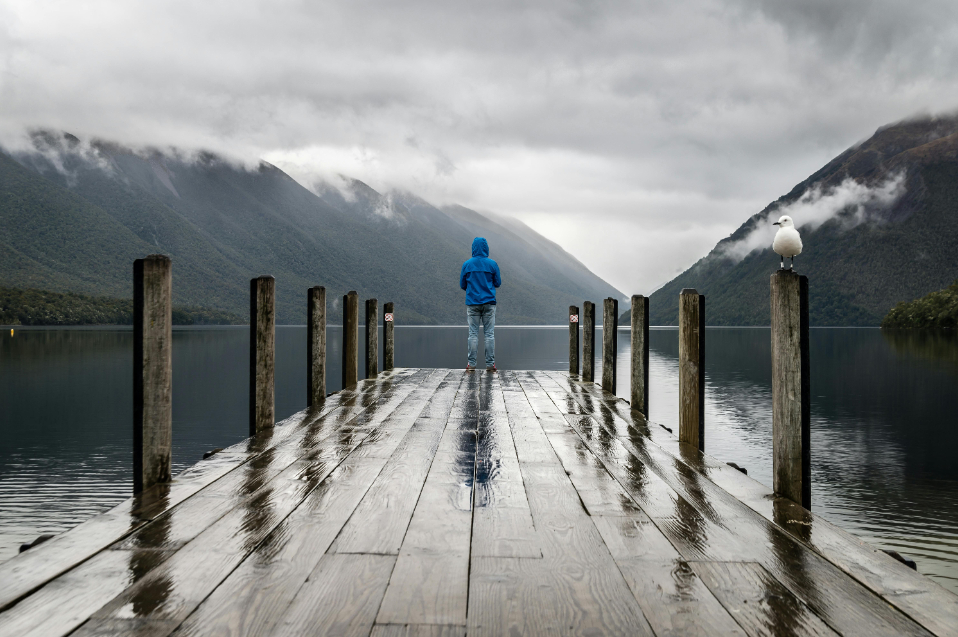 Person Standing on Brown Wooden Dock