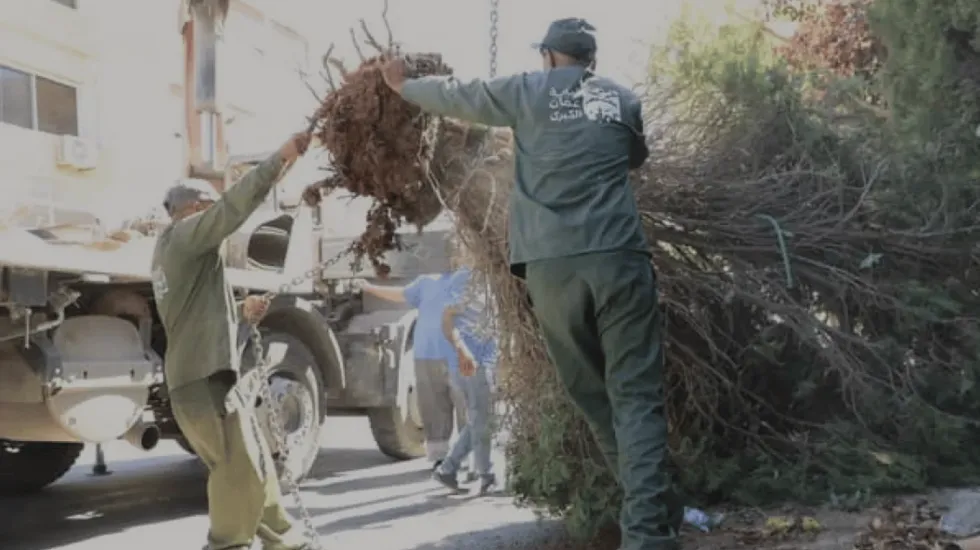 amman trees news