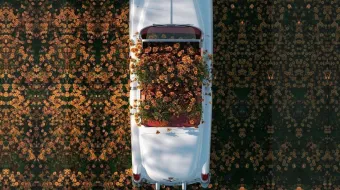 Car on flowers