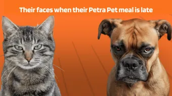 petra pet food jordan